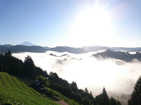 天空ノ茶ギフト【世界緑茶コンテスト2024最高金賞】