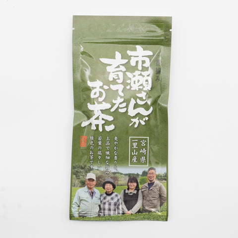 一番摘み 市瀬さんが育てたお茶