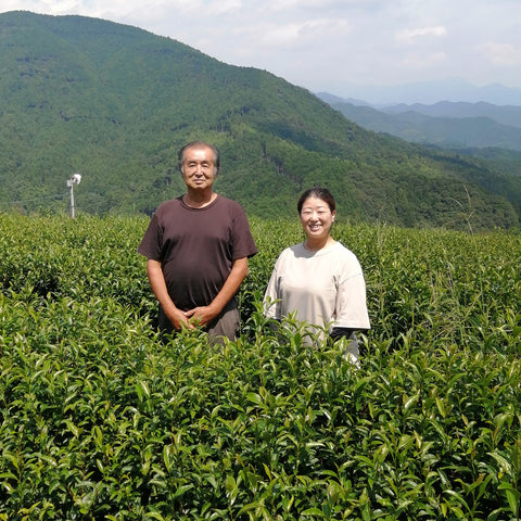有機 天空ノ茶 和紅茶